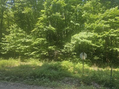 0 Hurricane Creek Rd, Dover, TN, 37058