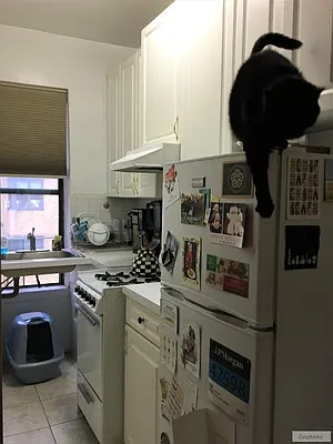 Rented by Charles Coutinho LLC | media 33