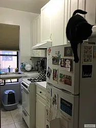 Rented by Charles Coutinho LLC