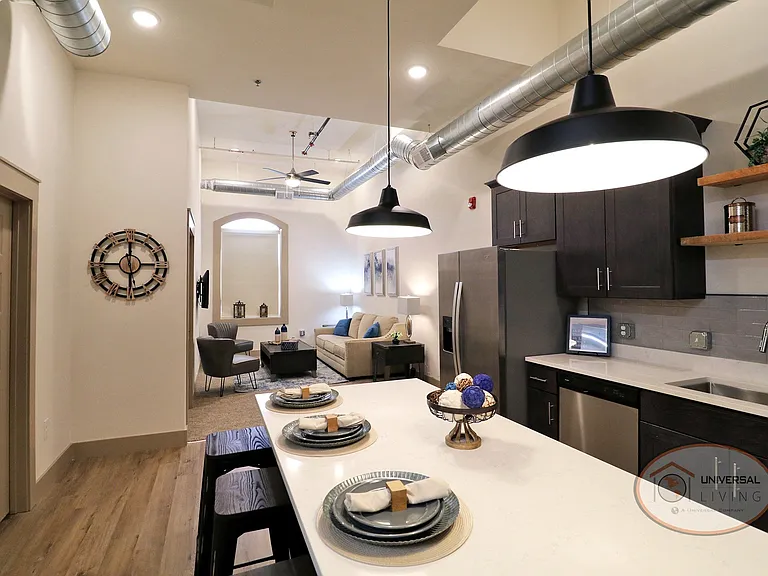 Living Area and Kitchen