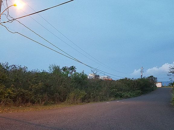 Oceanview from street level