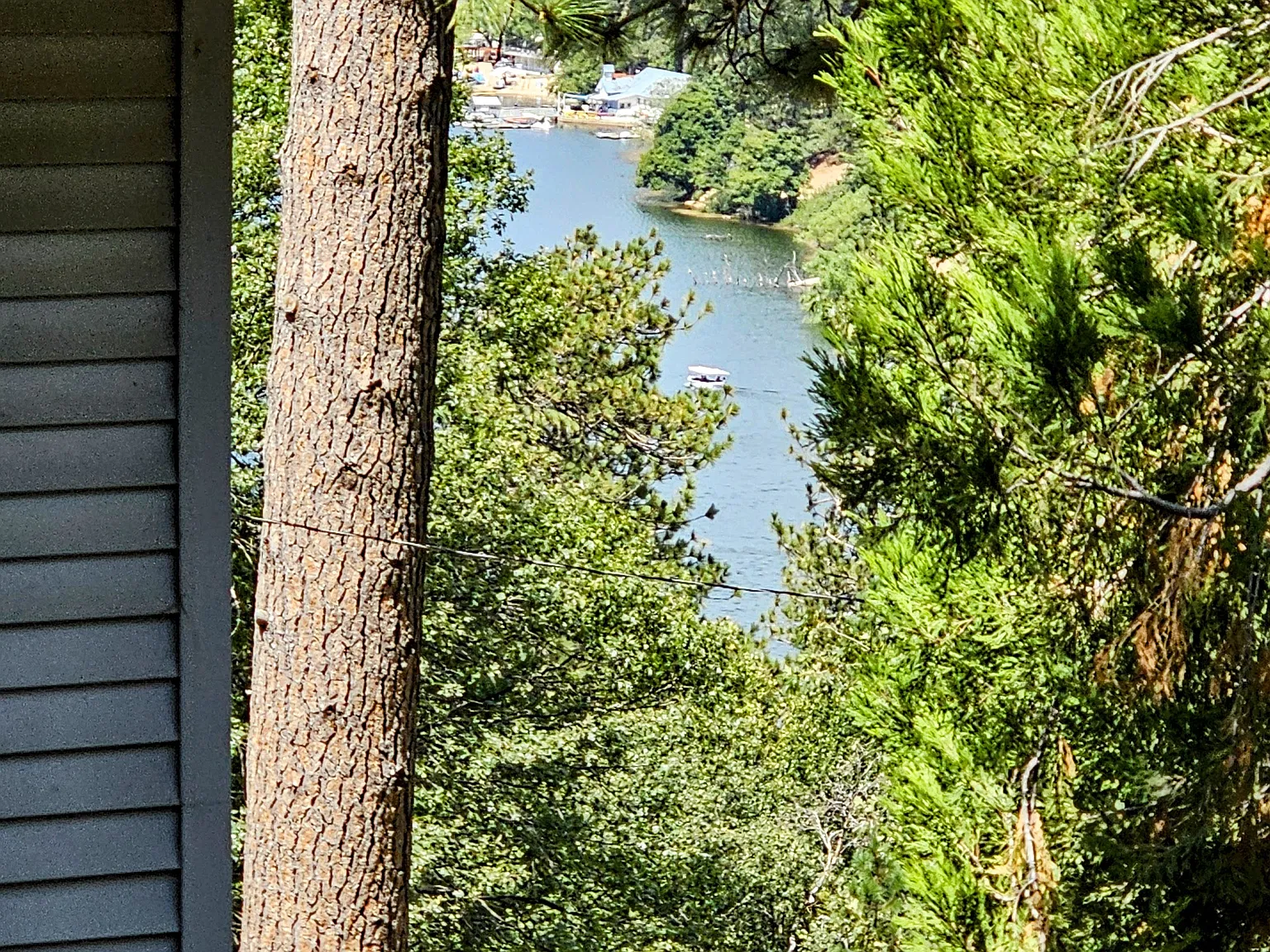 2 bed, 1200 sqft, $2,300 — Photo 3