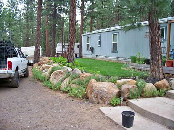 Rock Wall w/Thyme and Mint