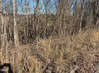 LOT 2 Baldwin View Dr, New Market, TN 37820