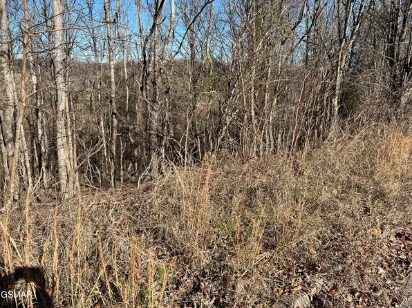 LOT 2 Baldwin View Dr, New Market, TN 37820