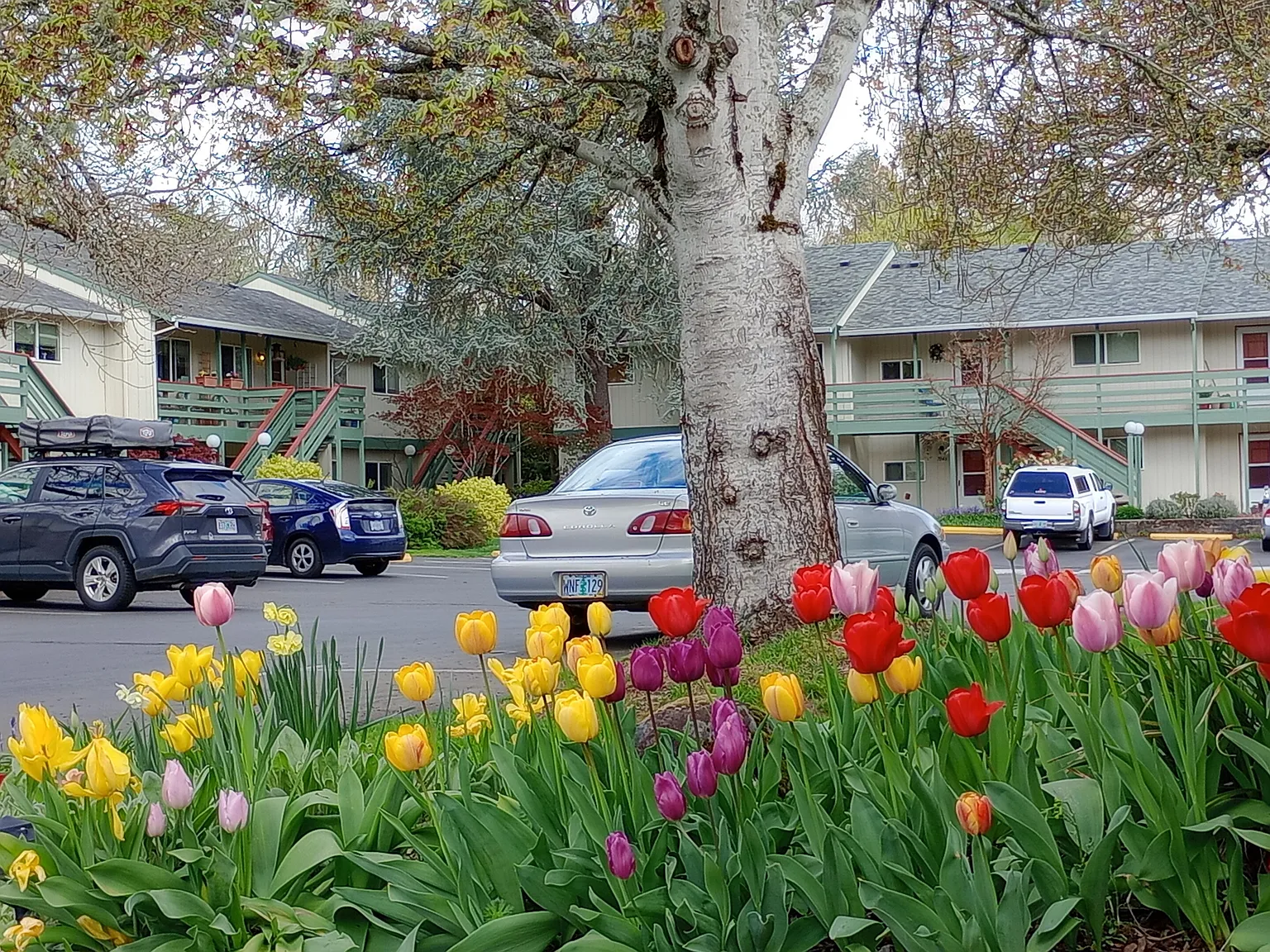 2 bed, 1.5 bath, 1110 sqft, $1,900 — Photo 3