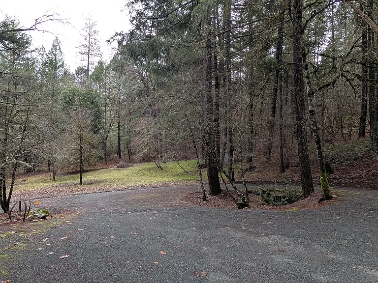 7312 E Evans Creek Rd — Photo 35