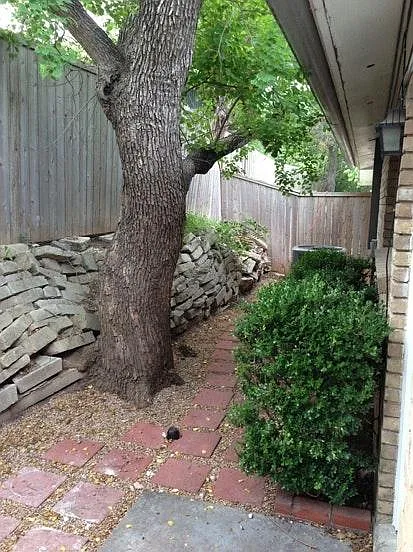 Small side yard