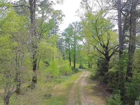 10924 Arnold Rd, Denham Springs, LA 70726