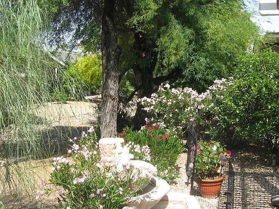 SURROUNDING THE BACK PATIO