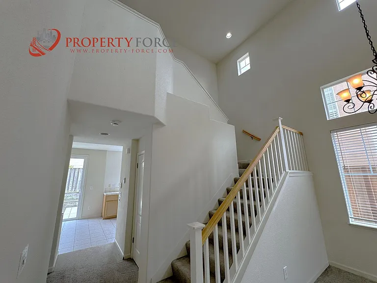 31 Cymbidium Cir — Photo 5