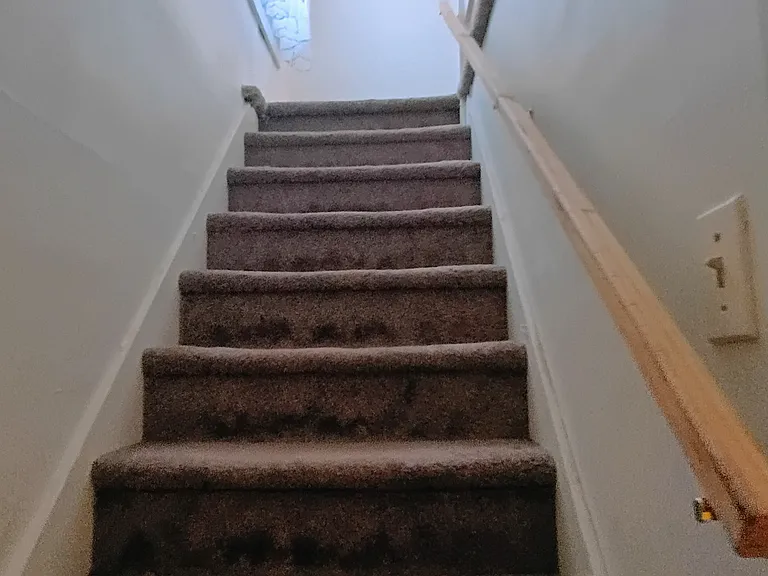 1241 Scott St — Photo 24
