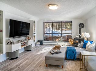 1328 Vine St, Aspen, CO 81611