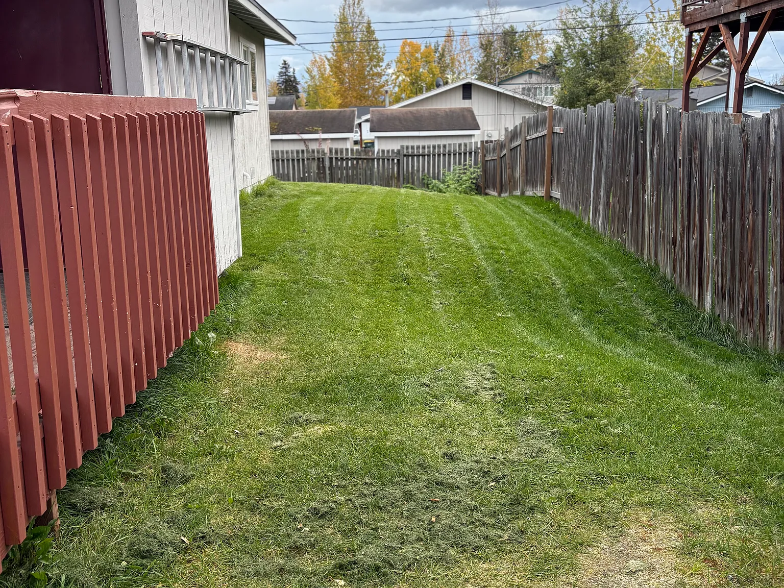 3 bed, 1000 sqft, $1,900 — Photo 3