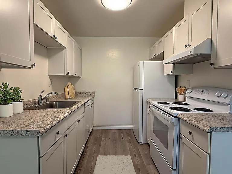 Olive Tree Apartments — Photo 7