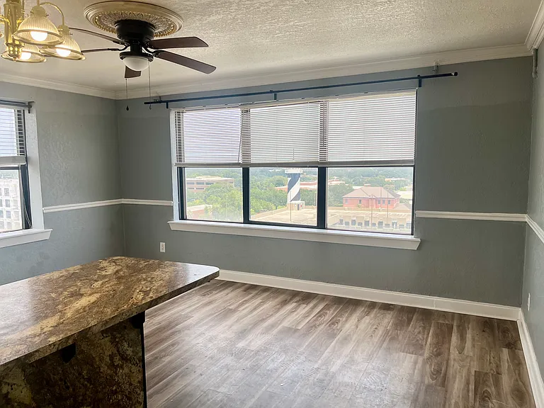311 W Ashley St #907 — Photo 2