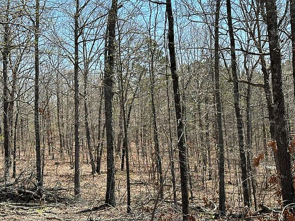2nd image of 000 Highway C Tract 2