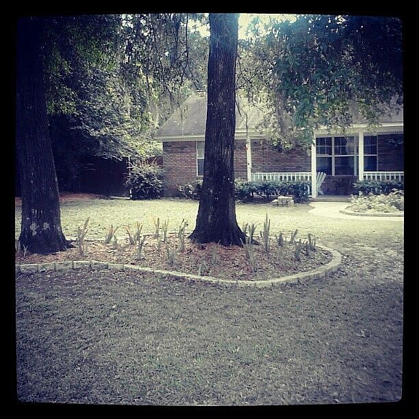 1st image of 121 Shadow Oak Cir