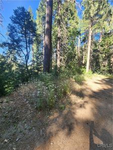 0 Forest Dr, Cedarpines Park, CA, 92322