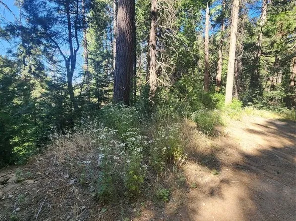 0 Forest Dr, Cedarpines Park, CA 92322