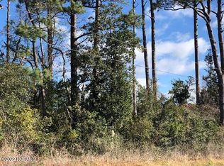 3 Star Church Rd TRACT 3, Marshallberg, NC 28553