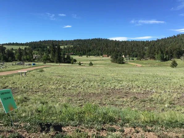 424 Alpine Meadows Ln, Lake George, CO 80827
