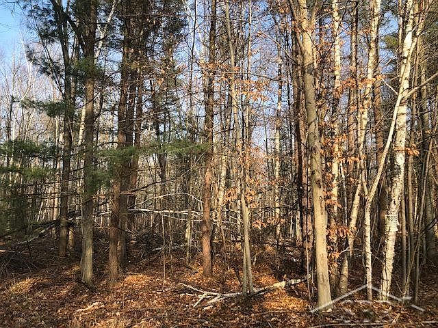 2nd image of 8601 Rathbun Rd
