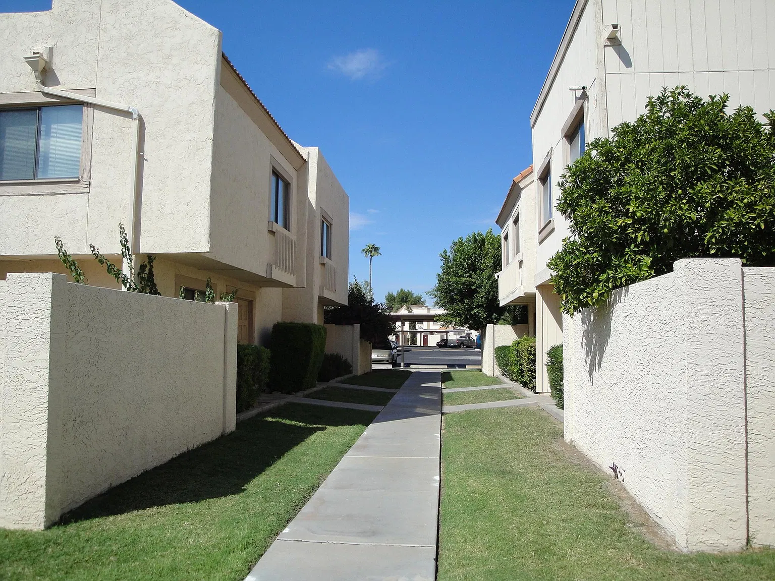 2 bed, 1.5 bath, 924 sqft, $1,875 — Photo 3