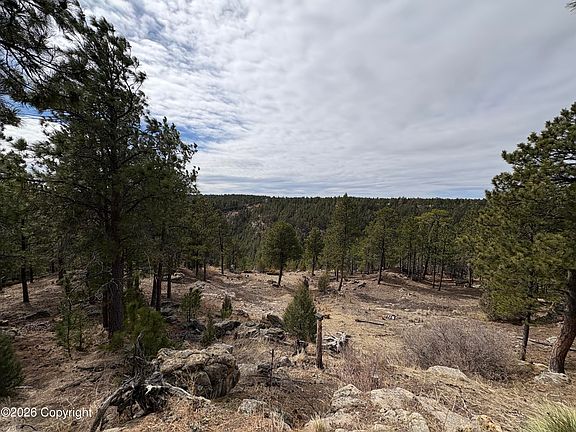 3rd image of 142 Bridle Bit Rd