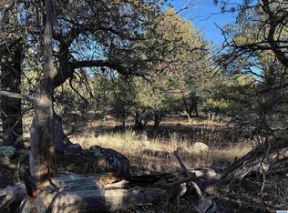 28 Linda Rd, Silver City, NM 88061