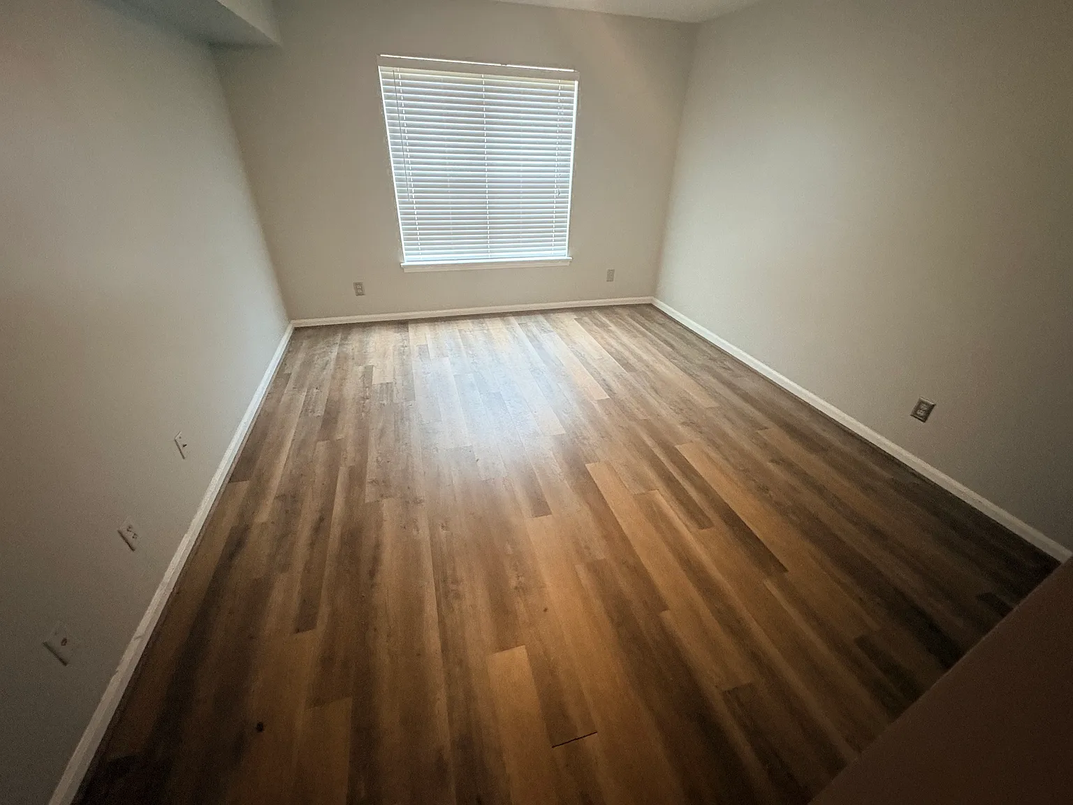 1 bed, 744 sqft, $1,300 — Photo 2