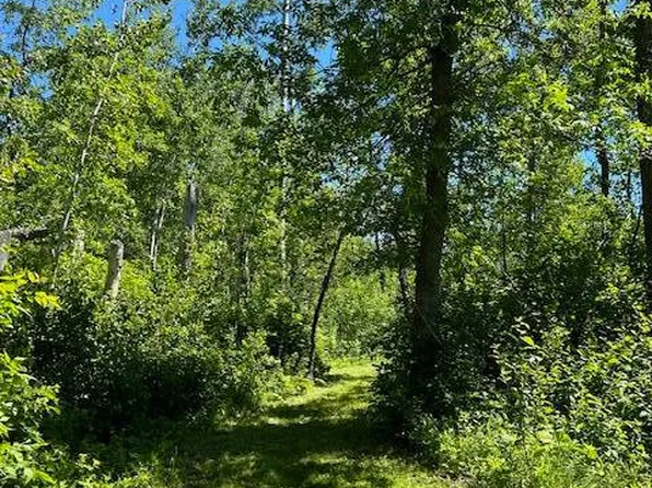 LOT 16 Hartley Shores Rd, Bottineau, ND 58318