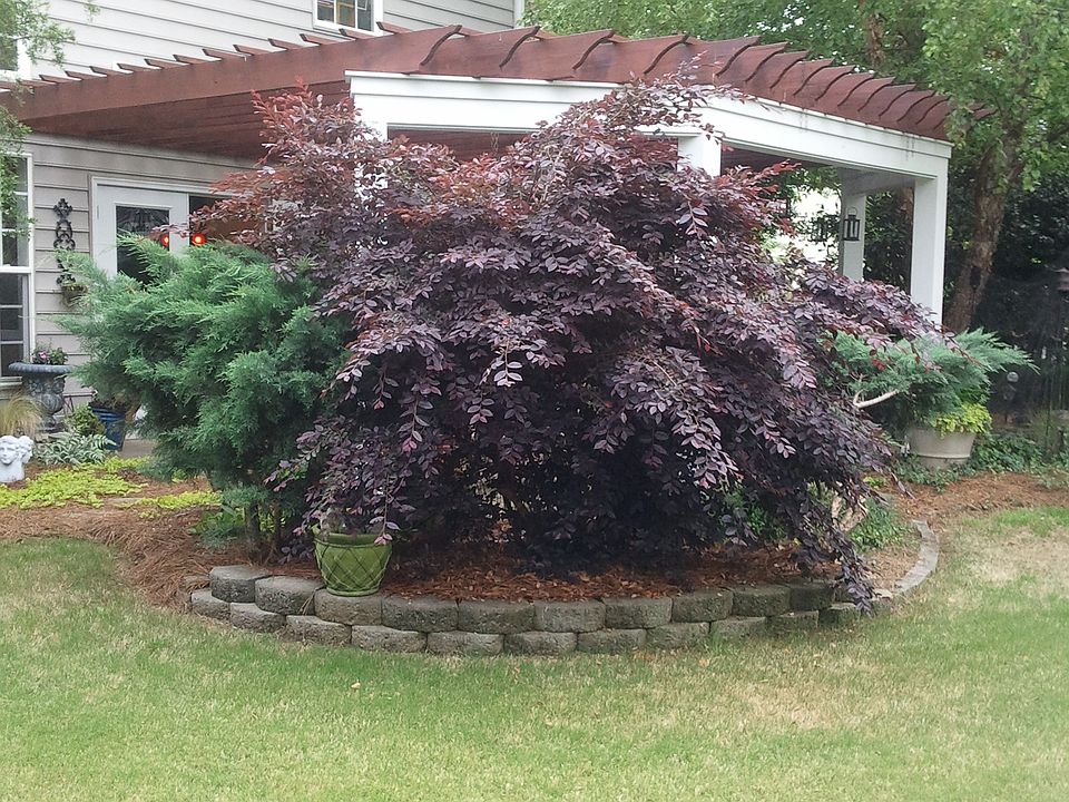 1st image of 6914 Lourdes Ct