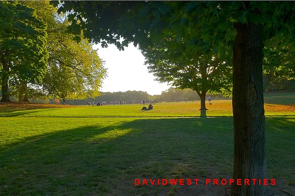 Sold by DavidWest Properties | media 7