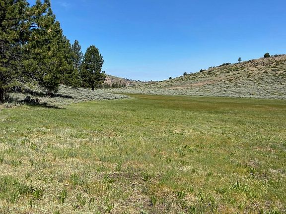 2nd image of Doyle Grade