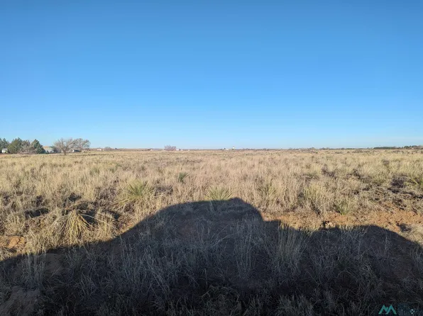 748 S Roosevelt Rd S, Portales, NM 88130