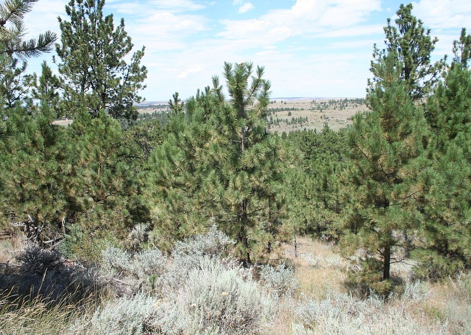 1st image of Lot 114 Paradise Bluff