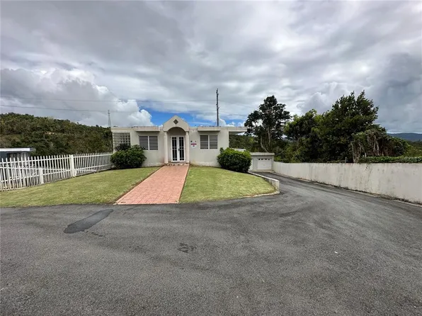 7787 Bo Beatriz Sect Sapera, Cidra, PR 00739