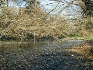 2nd image of 220 Willow Pond Ln