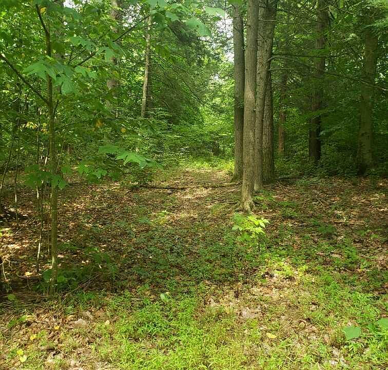 2nd image of Troxelville Rd