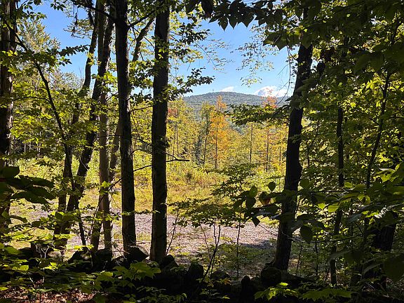 2nd image of 0 Cutoff Road