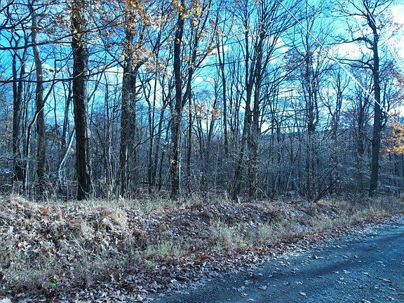 2nd image of 0 Matterhorn Rd