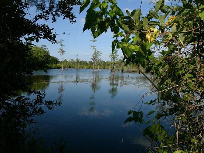 Two Large Stocked Ponds