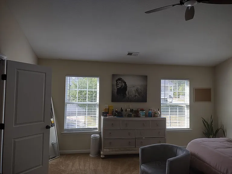 1111 Triple Crown Ct — Photo 21