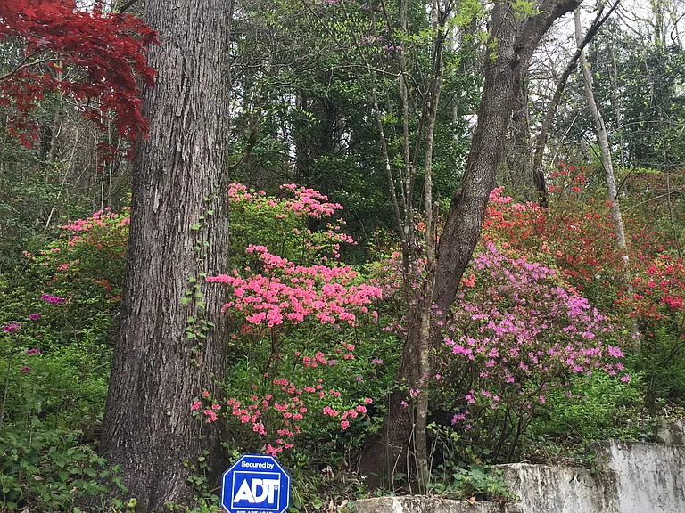 210 Wild Flower Hl #A — Photo 16