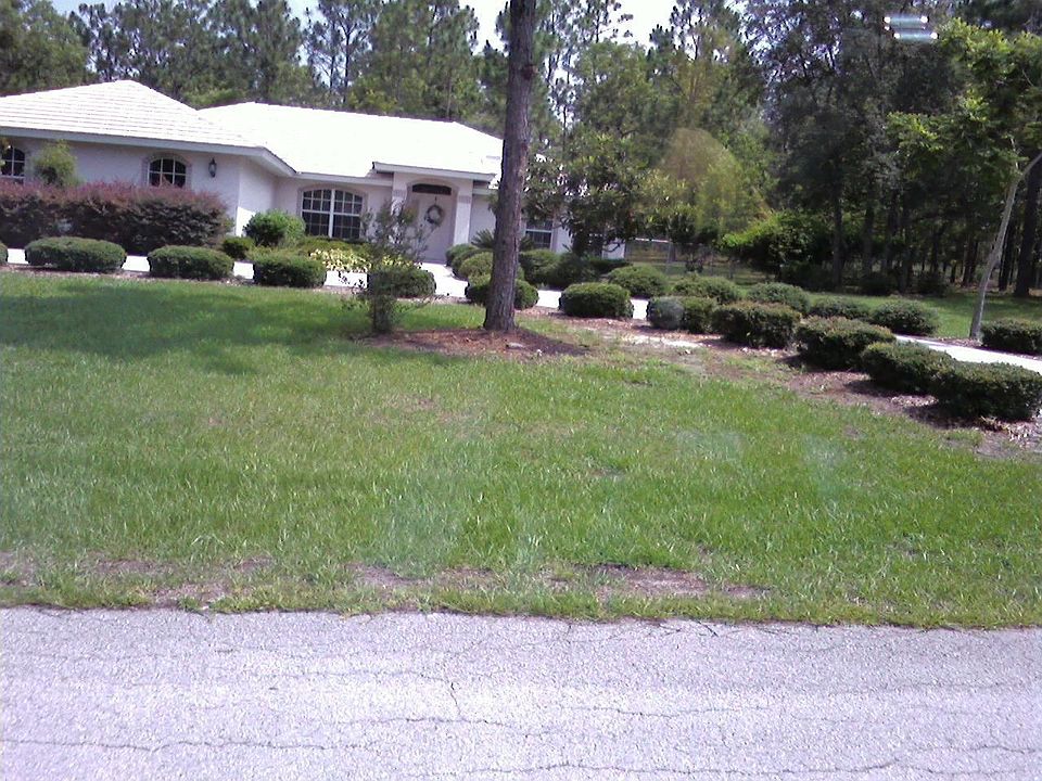 CIRCLE DRIVE