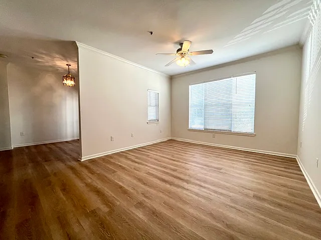 Living Room - 1704 Frederica Rd #203