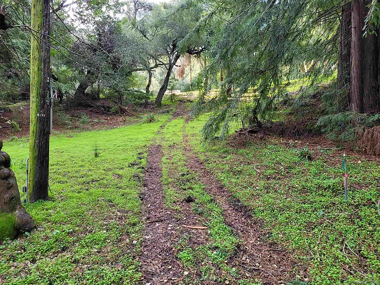16885 Laurel Rd — Photo 40