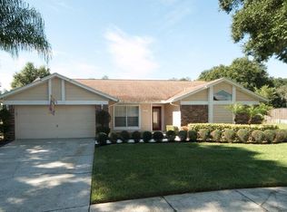 2816 Falling Leaves Dr, Valrico, FL 33596