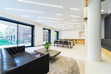 Rented by Bold New York